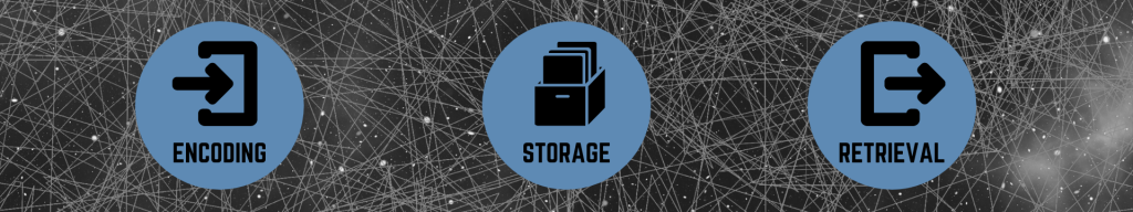 The three stages of memory recall: encoding, storage, and retrieval